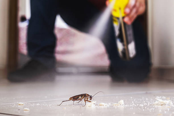 Best Pest Inspection Near Me  in Clayton, NM